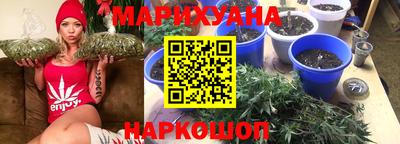 крисы Тверь