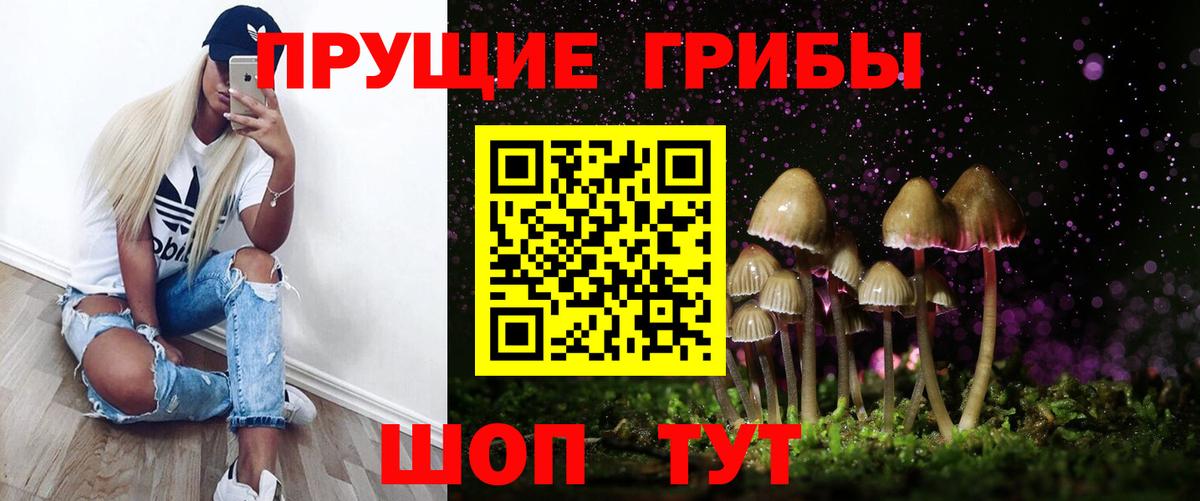 Клинцы  Галлюциногенные грибы Magic Shrooms  Псилоцибиновые грибы прущие грибы  Вход с VPN 